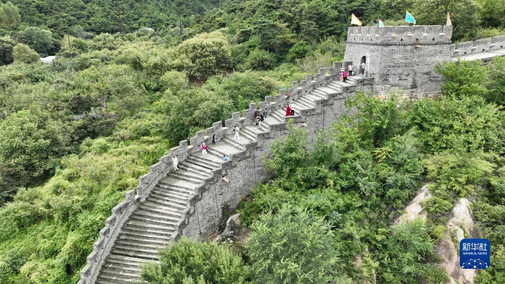 十博备用网址